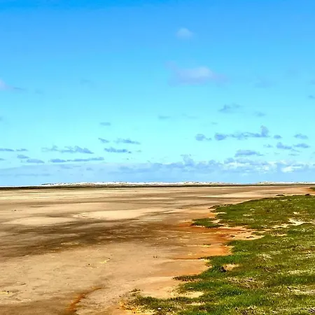 Neia - 640m From The Sea In Western Jutland By Interhome