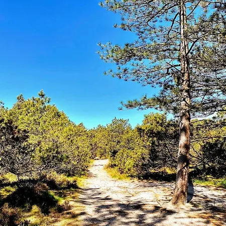 Casa de Férias Neia - 640m From The Sea By Interhome