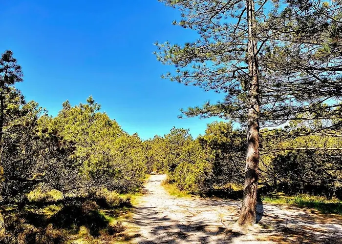 בית נופש Neia - 640m From The Sea By Interhome